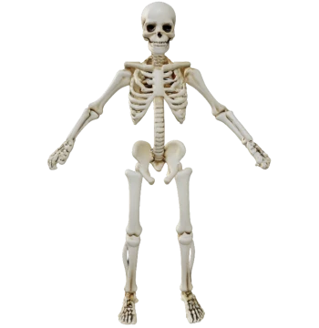 ModelMania